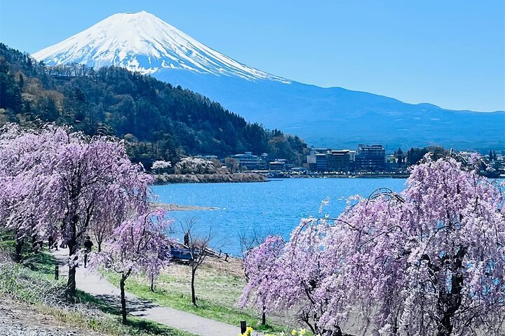 Mt Fuji Lake Kawaguchi and Yamanakako Onsen Tour from Tokyo - photo
