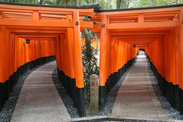 PERFECT KYOTO 1-Day Bus Tour - photo