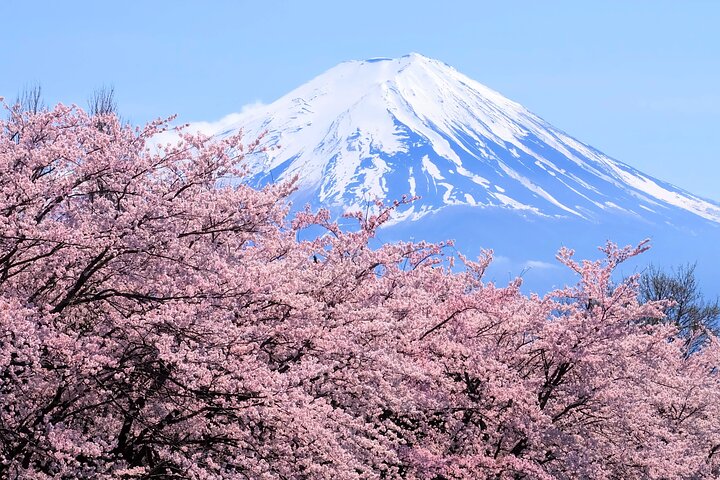 Mt Fuji and Hakone 1-Day Bus Tour Return by Bus - photo