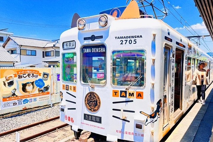 Osaka Wakayama Cat Train, Seafood market, Hot Springs Tour - photo