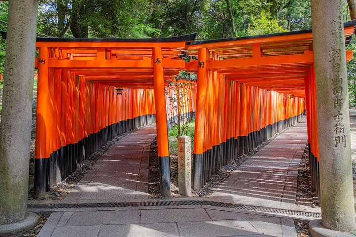 A path of vermilion torii gates in Kyoto, Kansai